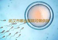 武汉市哪些医院可做供卵试管,武汉协和医院排队做供卵三代试管婴儿要花多少钱古德温
